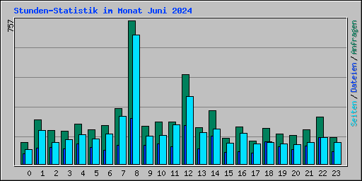 Stunden-Statistik im Monat Juni 2024