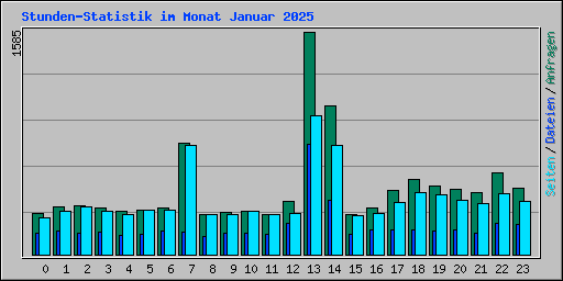 Stunden-Statistik im Monat Januar 2025