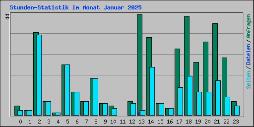 Stunden-Statistik im Monat Januar 2025