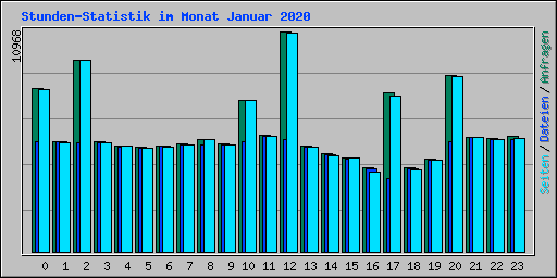 Stunden-Statistik im Monat Januar 2020